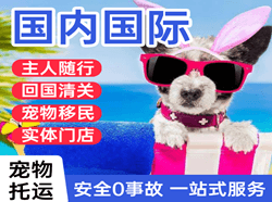拉萨国际宠物托运 【国